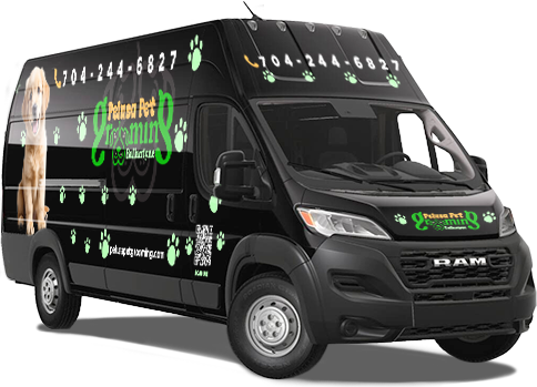 grooming_van